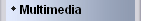 Multimedia
